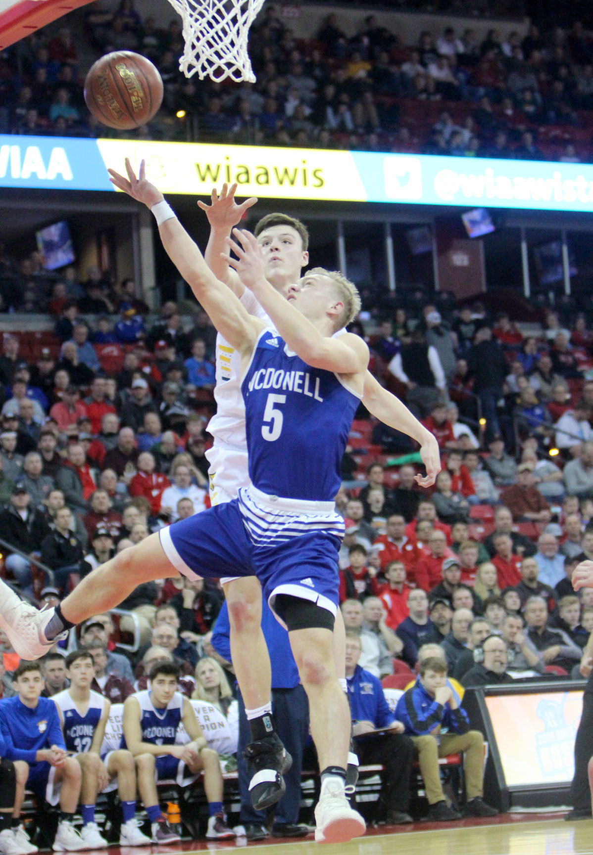 McDonell boys basketball vs Sheboygan Area Lutheran 3-15-19